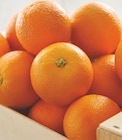 Promo Orange à jus et/ou à dessert à 3,29 € dans le catalogue Intermarché à Ensuès-la-Redonne