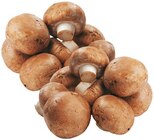 Braune Champignons Angebote von REWE Regional bei REWE Erlangen für 1,49 €