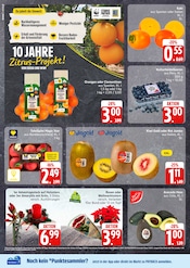 Aktueller EDEKA Prospekt mit Zimmerpflanzen, "Top Angebote", Seite 2