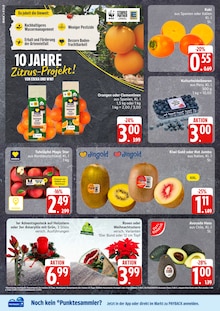 Aktueller EDEKA Wittorf Prospekt "Top Angebote" mit 12 Seiten