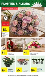 Promos Fleurs d'extérieur dans le catalogue "LE MOIS DES SUPPORTERS" de Carrefour à la page 47