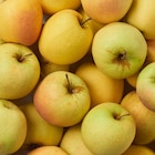 Pomme Golden Delicious FILIÈRE QUALITÉ CARREFOUR en promo chez Carrefour Pomme Golden Delicious FILIÈRE QUALITÉ CARREFOUR dans le catalogue Carrefour