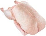 METRO Remscheid - Barbarie Ente Angebot im Prospekt Barbarie Ente bei METRO im Remscheid Prospekt für 9,62 €