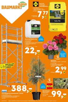 Oliven im Globus-Baumarkt Prospekt "Immer eine Idee besser" mit 16 Seiten (Mainz)