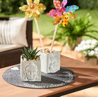 Rund um Balkon und Garten Angebote bei REWE Gießen für 2,00 €