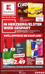 Kaufland Prospekt "Hier bin ich richtig" für Falkenberg, 68 Seiten, 03.09.2026 - 09.09.2026 Kaufland Prospekt "Hier bin ich richtig" für Falkenberg, 68 Seiten, 03.09.2026 - 09.09.2026