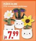 Plüsch-Blume bei Marktkauf im Herford Prospekt für 7,99 €