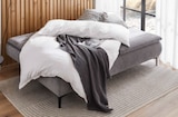 Aktuelle Couch Angebote bei XXXLutz in Hildesheim Aktuelles Boxspring-Schlafsofa Angebot bei XXXLutz in Hildesheim ab 799,00 €