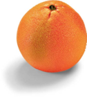 Grapefruit rose von  im aktuellen Netto Marken-Discount Prospekt für 1,00 €