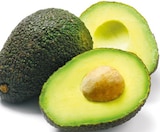 Netto mit dem Scottie Teltow - Avocado Hass Angebot im Prospekt Avocado Hass bei Netto mit dem Scottie im Teltow Prospekt für 0,99 €