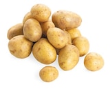 Bio Speisekartoffeln im Angebot bei REWE in Elmshorn Bio Speisekartoffeln Angebote von REWE Bio bei REWE Elmshorn für 1,49 €