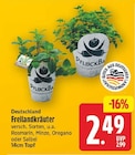 Freilandkräuter für 2,49 € bei E center im Angebot Freilandkräuter im aktuellen E center Prospekt