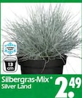 Silbergras-Mix Silver Land im Angebot bei Wreesmann in Pirna Silbergras-Mix Silver Land Angebote bei Wreesmann Pirna für 2,49 €