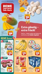Aktueller REWE Discounter Prospekt für Herford 16.06.2025 - 21.06.2025 REWE Prospekt für Herford mit 34 Seiten