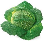 Wirsing Angebote von REWE Regional bei REWE Recklinghausen für 1,11 €