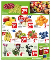 Äpfel im EDEKA Prospekt in Heidenheim Aktueller EDEKA Prospekt mit Äpfel, "SPAREN IST APP SACHE", Seite 3