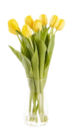 Tulpen Angebote von Gardenline bei ALDI Nord Peine für 2,49 €