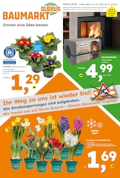 Globus-Baumarkt Prospekt für Wildau: "Immer eine Idee besser", 16 Seiten, 22.02.2026 - 27.02.2026