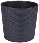 Blumentopf RATO Ø 25 cm im Angebot bei Penny in Wermelskirchen Blumentopf RATO Ø 25 cm Angebote bei Penny Wermelskirchen für 7,99 €