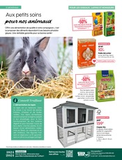 Lapin Angebote im Prospekt "ENSEMBLE, JARDINONS RESPONSABLE" von Truffaut auf Seite 18