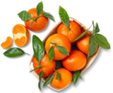 Span. Clementinen mit Blatt bei Kaufland im Prospekt "" für 1,99 €