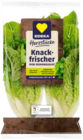 Mini Romanasalatherzen von EDEKA im aktuellen Marktkauf Prospekt für 1,49 €