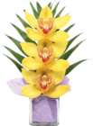 Composition cymbidium - GARDENLINE à 4,99 € dans le catalogue Aldi