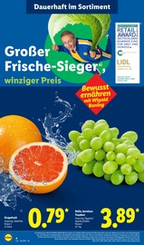 Weintrauben im Lidl Prospekt in Recklinghausen Aktueller Lidl Prospekt mit Weintrauben, "LIDL LOHNT SICH", Seite 2