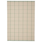 Teppich flach gewebt elfenbeinweiß/grün im Angebot bei IKEA in Melle Teppich flach gewebt elfenbeinweiß/grün Angebote von RIDSTIG bei IKEA Melle für 29,99 €