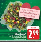E center - Tulpen Karneval Angebot im Prospekt Tulpen Karneval bei E center im Prospekt "" für 2,99 €