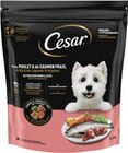 Hundetrockenfutter im Angebot bei REWE in Kiel Hundetrockenfutter Angebote bei REWE Kiel für 5,49 €