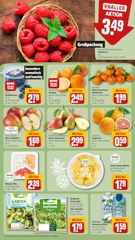 Salat im aktuellen REWE Prospekt (Nürnberg) Salat im REWE Prospekt "Dein Markt" mit 16 Seiten (Nürnberg)