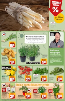 Spargel im REWE Prospekt "Dein Markt" mit 34 Seiten (Frankfurt (Main))