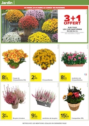 Prix et réduction Jardinière dans le prospectus Carrefour en cours Offre Jardinière dans le catalogue Carrefour du moment à la page 57