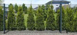 Angebot im Hagebaumarkt Minden Prospekt Hagebaumarkt Minden Prospekt mit im Angebot fĂŒr 29,99 âŹ