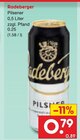 Pilsener im Angebot bei Netto Marken-Discount in Meerane Pilsener Angebote von Radeberger bei Netto Marken-Discount Meerane für 0,79 €