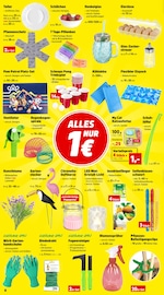 Ähnliche Angebote wie Wanderschuhe im Prospekt "Top Angebote" auf Seite 8 von Thomas Philipps in Pirmasens