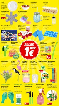 Katzenfutter im aktuellen Thomas Philipps Prospekt (Erfurt) Katzenfutter im Thomas Philipps Prospekt "Top Angebote" mit 18 Seiten (Erfurt)