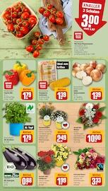 Blumen im REWE Prospekt in Neumünster Aktueller REWE Prospekt mit Blumen, "Dein Markt", Seite 11