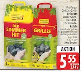Grillis Grillbriketts oder Sommer-Hit-Grillholzkohle im Angebot bei E center in Falkensee Grillis Grillbriketts oder Sommer-Hit-Grillholzkohle Angebote von ProFagus bei E center Falkensee für 5,55 €