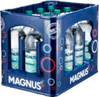 Aktuelles Magnus Angebot bei Marktkauf in Hamburg ab 3,99 €