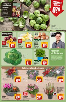 Blumen im REWE Prospekt "Dein Markt" mit 45 Seiten (Hamburg)