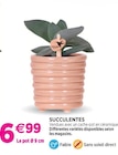 Succulentes dans le catalogue Delbard