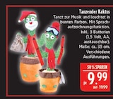 Tanzender Kaktus Angebote bei Marktkauf Schweinfurt