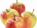 Deutschland Tafeläpfel bei EDEKA im Hasbergen Prospekt für 2,49 €