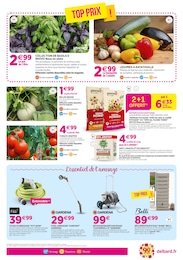 Offre Arrosoir dans le catalogue Delbard du moment à la page 6
