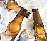 Pils von Hasseröder für 8,49 € bei Marktkauf im Angebot Pils von Hasseröder im aktuellen Marktkauf Prospekt