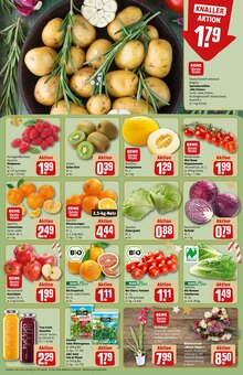 Pflanzen im aktuellen REWE Prospekt (Halle (Saale)) Pflanzen im REWE Prospekt "Dein Markt" mit 30 Seiten (Halle (Saale))