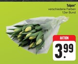 Tulpen bei E center im Roth Prospekt für 3,99 €