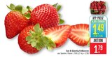 Aktuelle Erdbeeren Angebote bei Marktkauf in Stuttgart Aktuelles Erdbeeren Angebot bei Marktkauf in Stuttgart ab 1,49 €